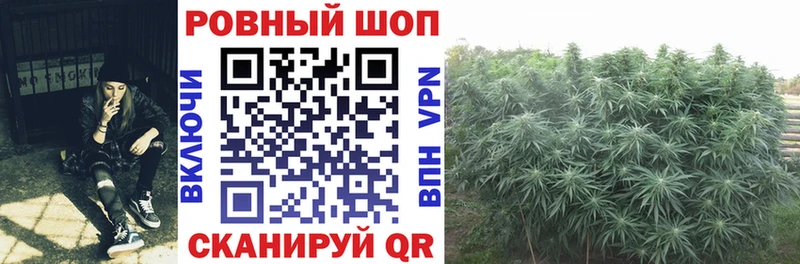 Что такое Светогорск Codein  Гашиш  Марихуана  СОЛЬ 