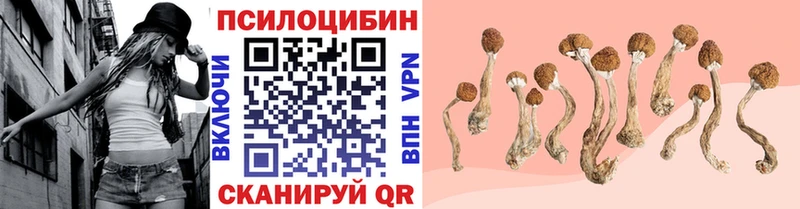 цена наркотик  Светогорск  Псилоцибиновые грибы GOLDEN TEACHER 